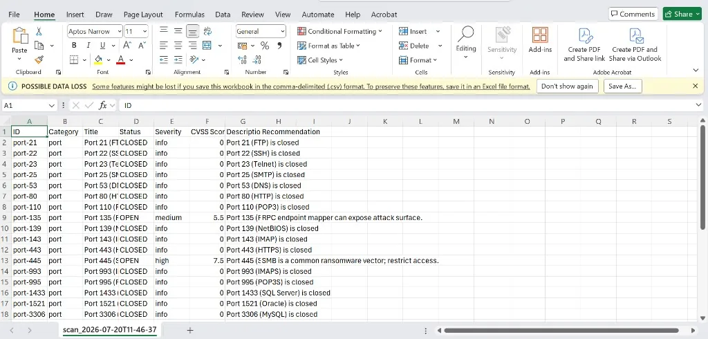 Vulnerability assessment CSV export opened in Microsoft Excel